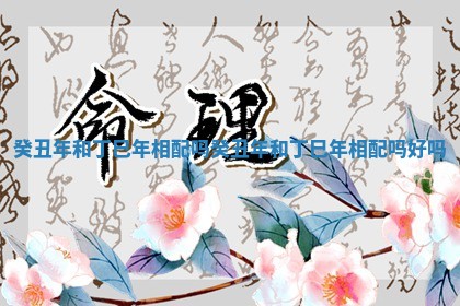 癸丑年和丁巳年相配吗_癸丑年和丁巳年相配吗好吗
