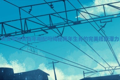 癸亥年和癸酉年相配吗揭秘两年生肖的完美搭配潜力