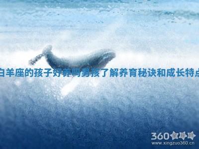 白羊座的孩子好养吗男孩了解养育秘诀和成长特点