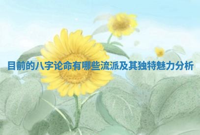 目前的八字论命有哪些流派及其独特魅力分析