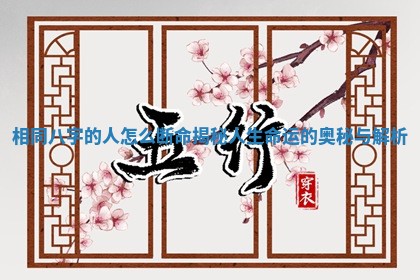相同八字的人怎么断命揭秘人生命运的奥秘与解析