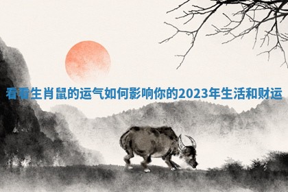 看看生肖鼠的运气如何影响你的2023年生活和财运