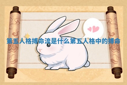 第五人格搏命流是什么 第五人格中的搏命