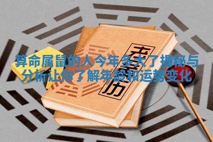 算命属鼠的人今年多大了揭秘与分析让你了解年龄和运势变化