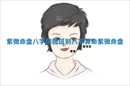 紫微命盘八字精批区别 八字算命紫微命盘