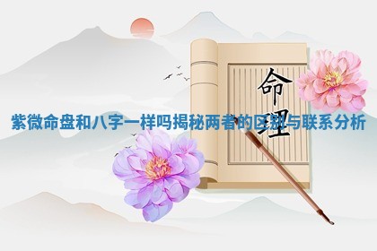 紫微命盘和八字一样吗揭秘两者的区别与联系分析