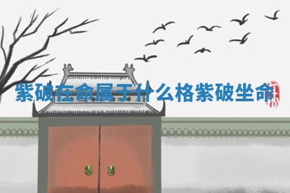 紫破在命属于什么格_紫破坐命