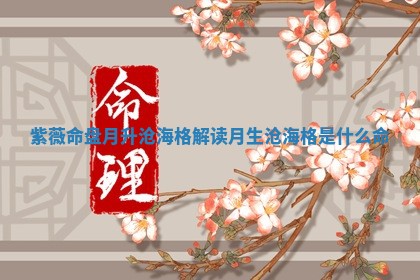 紫薇命盘月升沧海格解读_月生沧海格是什么命