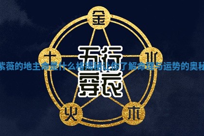 紫薇的地主命是什么格揭秘 让你了解命理与运势的奥秘 紫薇的地主命是什么格揭秘 让你了解命理与运势的奥秘