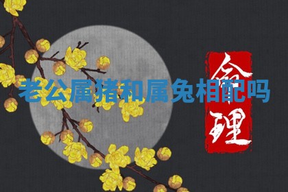 老公属猪和属兔相配吗_