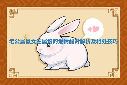 老公属鼠女生属狗的爱情配对解析及相处技巧 老公属鼠女生属狗的爱情配对解析及相处技巧