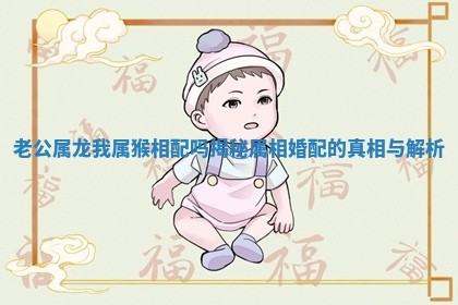 老公属龙我属猴相配吗揭秘属相婚配的真相与解析
