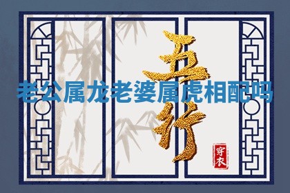 老公属龙老婆属虎相配吗_