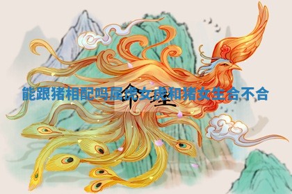 能跟猪相配吗属虎女_虎和猪女生合不合