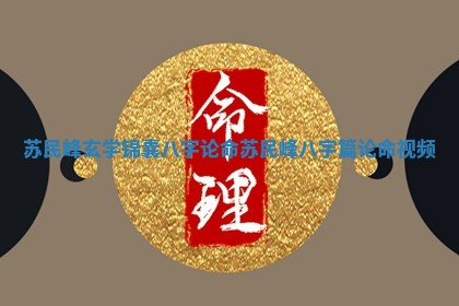苏民峰玄学锦囊八字论命 苏民峰八字篇论命视频