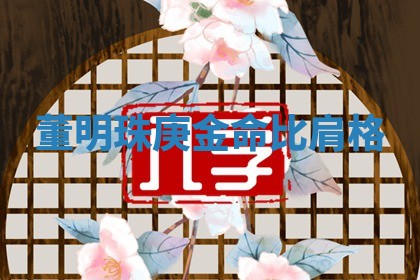 董明珠庚金命比肩格 董明珠庚金命比肩格