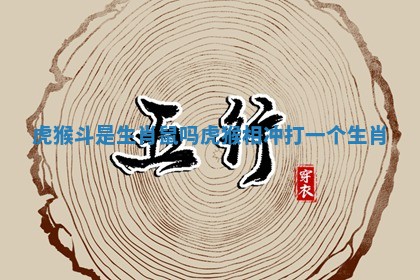 虎猴斗是生肖鼠吗_虎猴相冲打一个生肖