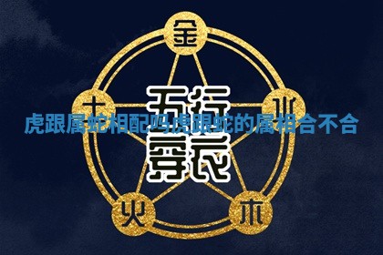 虎跟属蛇相配吗 虎跟蛇的属相合不合