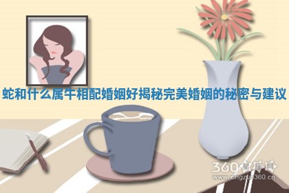 蛇和什么属牛相配婚姻好揭秘完美婚姻的秘密与建议