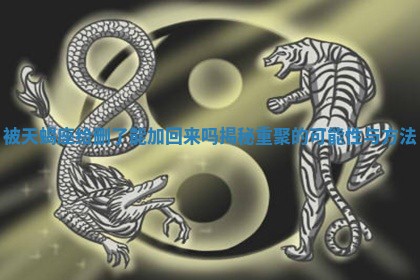 被天蝎座给删了能加回来吗揭秘重聚的可能性与方法