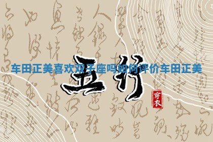 车田正美喜欢双子座吗 如何评价车田正美 车田正美喜欢双子座吗 如何评价车田正美