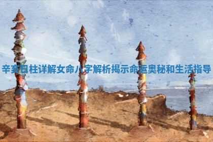 辛亥日柱详解女命八字解析揭示命运奥秘和生活指导