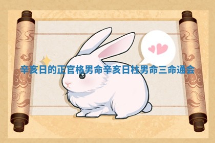 辛亥日的正官格男命_辛亥日柱男命三命通会