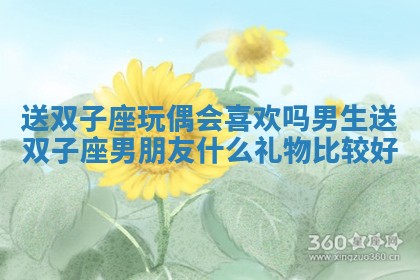 送双子座玩偶会喜欢吗男生 送双子座男朋友什么礼物比较好