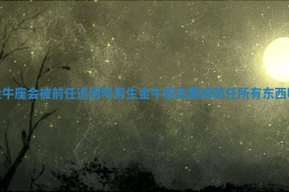 金牛座会被前任追回吗男生_金牛座会删掉前任所有东西吗