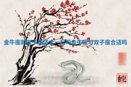 金牛座和双子座适合一起吗_金牛座与双子座合适吗