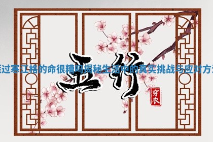 雁过寒江格的命很糟吗揭秘生活中的真实挑战与应对方法