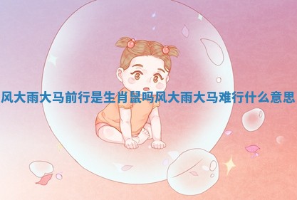 风大雨大马前行是生肖鼠吗 风大雨大马难行什么意思