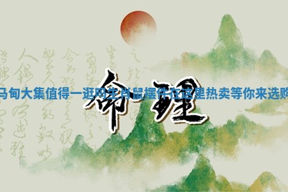 马甸大集值得一逛吗 生肖鼠摆件在这里热卖等你来选购 马甸大集值得一逛吗 生肖鼠摆件在这里热卖等你来选购