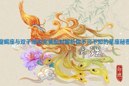 魔蝎座与双子座的完美配对解析你不可不知的星座秘密