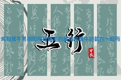 鸡和属牛男相配吗婚姻 男的属鸡和属牛的能在一起吗