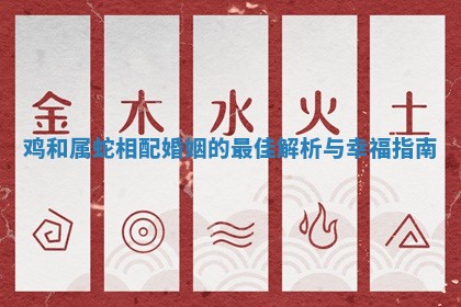 鸡和属蛇相配婚姻的最佳解析与幸福指南