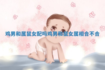 鸡男和属鼠女配吗 鸡男和鼠女属相合不合