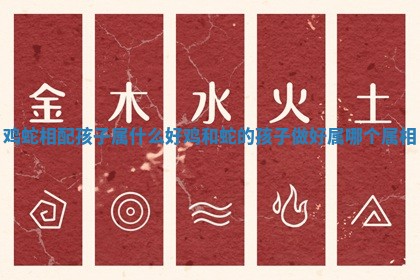 鸡蛇相配孩子属什么好_鸡和蛇的孩子做好属哪个属相