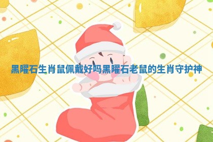 黑曜石生肖鼠佩戴好吗_黑曜石老鼠的生肖守护神