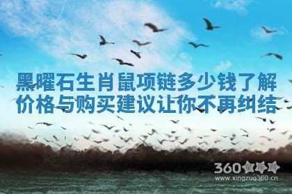 黑曜石生肖鼠项链多少钱了解价格与购买建议让你不再纠结