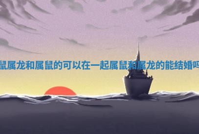 鼠属龙和属鼠的可以在一起 属鼠和属龙的能结婚吗