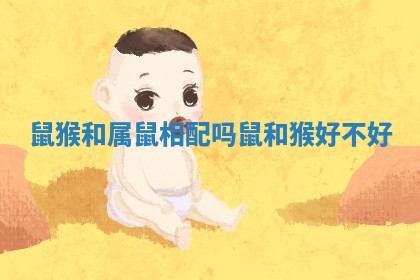 鼠猴和属鼠相配吗_鼠和猴好不好