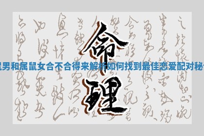 鼠男和属鼠女合不合得来解析 如何找到最佳恋爱配对秘诀