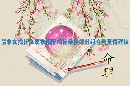 鼠象女找什么属象相配揭秘最佳缘分组合与爱情建议