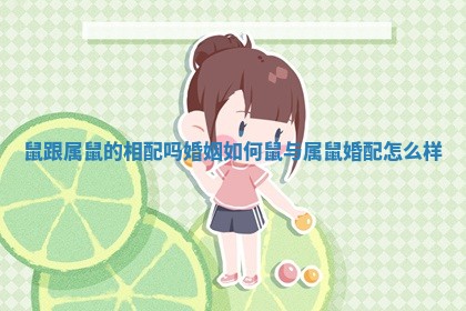 鼠跟属鼠的相配吗婚姻如何_鼠与属鼠婚配怎么样