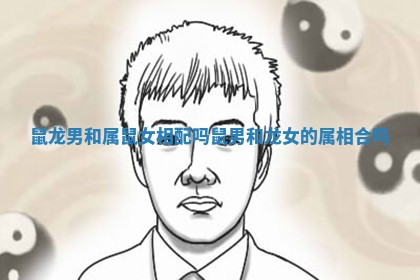 鼠龙男和属鼠女相配吗_鼠男和龙女的属相合吗 鼠龙男和属鼠女相配吗_鼠男和龙女的属相合吗