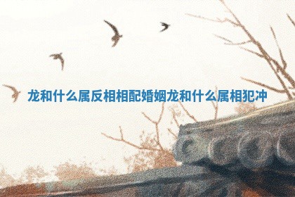 龙和什么属反相相配婚姻_龙和什么 属相犯冲