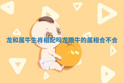 龙和属牛生肖相配吗_龙跟牛的属相合不合