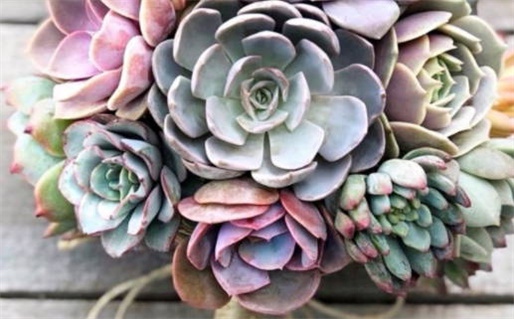 今天农历2027年二月廿一黄历动土适宜吗,动土吉日