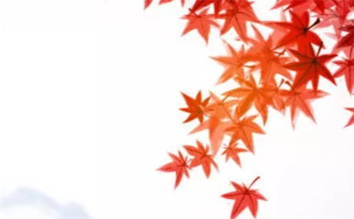 2027年6月8日适宜开工吗,这天动土合适吗